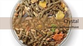  Presentation with bowl - Beautiful PPT layouts featuring bowl with compound rodents backdrop and a coral colored foreground