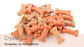  Presentation with international - Beautiful theme featuring bowl with dog cookies backdrop and a coral colored foreground