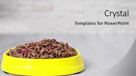  Presentation with dog food - Slide deck consisting of bowl with dog food on the floor in front of brick wall background background and a light gray colored foreground