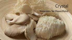  Presentation with fungus - Beautiful PPT layouts featuring coral fungus lion's mane backdrop and a coral colored foreground