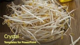  Presentation with bean sprouts - Presentation theme enhanced with bowl-with-fresh-raw-bean background and a tawny brown colored foreground