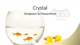  Presentation with goldfish - Presentation design featuring bowl with goldfish and little background and a white colored foreground