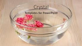  Presentation with war roses tudor rose - PPT layouts enhanced with bowl with roses on wooden background background and a coral colored foreground