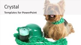  Presentation with white and green generic - Beautiful presentation theme featuring bowler hat and green beer backdrop and a white colored foreground