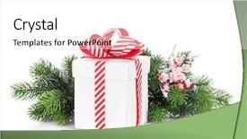  Presentation with fir tree - Beautiful slide set featuring box and fir tree branch backdrop and a  colored foreground