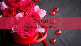  Presentation with pink roses - Beautiful slides featuring box and placed on black backdrop and a red colored foreground