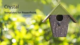  Presentation with green house - Cool new PPT theme with box in summer or spring backdrop and a yellow colored foreground