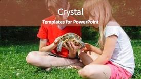  Presentation with sister - PPT layouts enhanced with box turtles - brother and sister wearing casual background and a  colored foreground