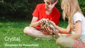  Presentation with sister - Cool new PPT layouts with box turtles - brother and sister wearing casual backdrop and a  colored foreground