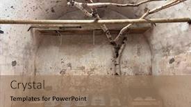  Presentation with animals zoo - Slide deck enhanced with boxes-for-transporting-animals background and a coral colored foreground