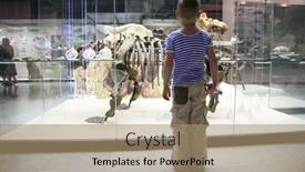  Presentation with dinosaur - Amazing presentation design having boy-and-dinosaur-s-skeleton backdrop and a coral colored foreground