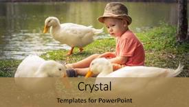  Presentation with geese - Presentation theme consisting of boy and geese near lake background and a coral colored foreground