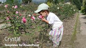  Presentation with child boy hold basket - Theme consisting of boy-child-little-gardener background and a tawny brown colored foreground