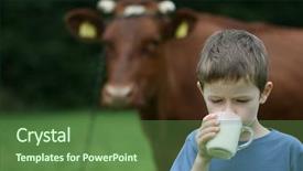  Presentation with old farm - Presentation design having boy drinking milk on farm background and a tawny brown colored foreground