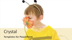  Presentation with bee - Slide set having boy in bumble bee costume smelling red flower background and a yellow colored foreground