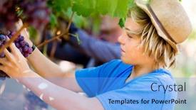  Presentation with vineyard - Slide deck enhanced with boy in vineyard background and a light blue colored foreground