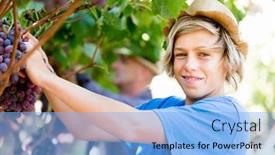  Presentation with vineyard - Beautiful PPT theme featuring boy-in-vineyard backdrop and a light blue colored foreground