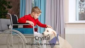  Presentation with service animal - Presentation theme having boy in wheelchair with service background and a coral colored foreground