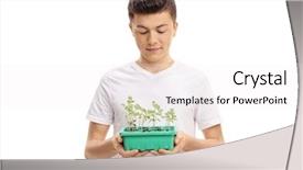  Presentation with plant - Amazing presentation theme having boy looking at a plant backdrop and a white colored foreground