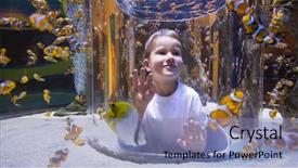  Presentation with fish aquarium - Cool new slides with boy looking at fish tank backdrop and a light blue colored foreground