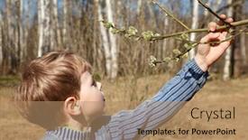  Presentation with bud - Cool new presentation theme with boy-looks-at-full-bud backdrop and a coral colored foreground