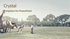  Presentation with school - PPT theme having boy of school age outdoor background and a  colored foreground