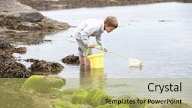  Presentation with shells beach summer holiday - Amazing theme having boy on beach collecting shells backdrop and a yellow colored foreground