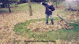  Presentation with tea leaves fresh green leaf - PPT theme having boy raking leaves in a yard doing chores background and a coral colored foreground