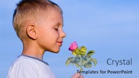  Presentation with wild flower - PPT theme consisting of boy-smelling-wild-rose-flower background and a light blue colored foreground