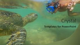  Presentation with sri lanka - Presentation theme enhanced with boy-swimming-with-a-giant background and a ocean colored foreground