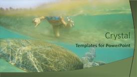  Presentation with turtle - Presentation with boy-swimming-with-a-giant background and a seafoam green colored foreground