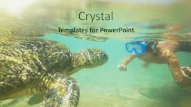  Presentation with turtle - Theme with boy-swimming-with-a-giant background and a mint green colored foreground