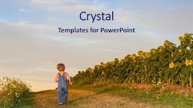  Presentation with path - PPT theme with boy walking down a path background and a lemonade colored foreground