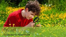  Presentation with magnifying glass - Amazing PPT theme having boy-watching-flowers-on-meadow backdrop and a yellow colored foreground