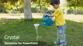  Presentation with young plant - Presentation theme enhanced with boy watering a young plant background and a tawny brown colored foreground