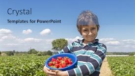  Presentation with strawberry - Cool new presentation theme with boy-with-a-bowl backdrop and a light blue colored foreground