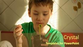  Presentation with chicken pox - Slide deck enhanced with boy-with-chicken-pox-grow background and a tawny brown colored foreground