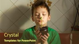  Presentation with seed - PPT layouts consisting of boy-with-chickenpox-grow-plant background and a tawny brown colored foreground
