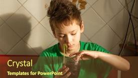  Presentation with seed - Slides having boy-with-chickenpox-grow-plant background and a tawny brown colored foreground