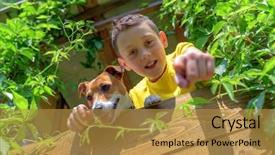  Presentation with summer time - Presentation theme with boy with dog on treehouse background and a gold colored foreground