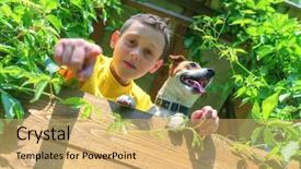 Presentation with smiling kids at summer camp - Slides with boy with dog on treehouse background and a yellow colored foreground