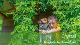 Presentation with summer time - Cool new theme with boy with dog on treehouse backdrop and a forest green colored foreground