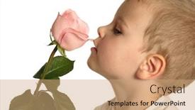  Presentation with rose falling animation - PPT theme having boy with rose background and a coral colored foreground