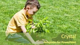  Presentation with green lawn - Colorful slide set enhanced with boy with tree on lawn backdrop and a tawny brown colored foreground