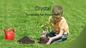  Presentation with srping tree - PPT theme consisting of boy with tree on lawn background and a seafoam green colored foreground
