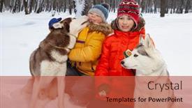 Presentation with husky - Cool new PPT layouts with boys-playing-with-white-husky backdrop and a red colored foreground