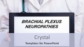 Presentation with plexus - Presentation theme consisting of brachial-plexus-neuropathies-doctor background and a sky blue colored foreground