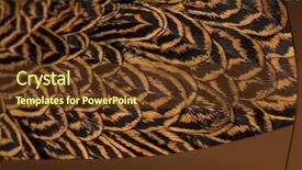  Presentation with hen - Audience pleasing PPT layouts consisting of brahma hen close up backdrop and a tawny brown colored foreground