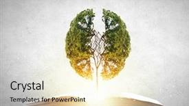  Presentation with growing tree - Cool new presentation with brain - conceptual image with green tree backdrop and a lemonade colored foreground