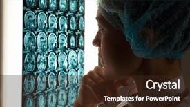  Presentation with brain cancer - Cool new PPT theme with education science zoology - burchell s zebra equus quagga backdrop and a dark gray colored foreground